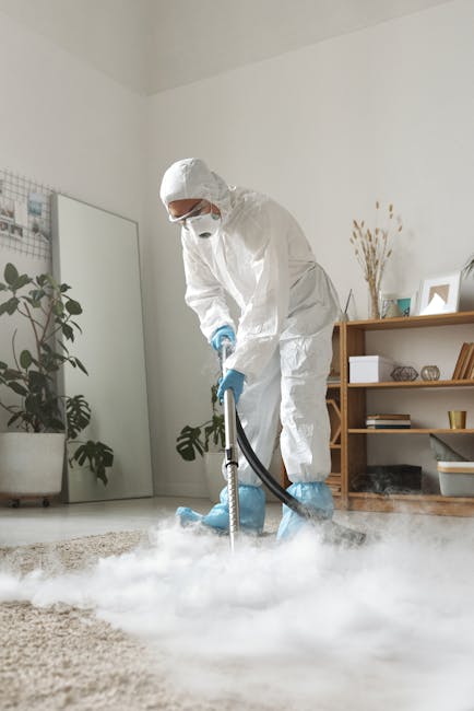 A professional cleaning technician dressed in full protective gear, including a white coverall, mask, and gloves, performs deep cleaning on a beige carpet in a well-lit, modern living room. The staff member from Marylebone Carpet Cleaning uses a vapor or steam cleaning machine, creating a visible cloud of steam or mist on the carpet surface. The room features a white wall, a tall mirror leaning against the wall, and a wooden shelf displaying books, decorative objects, and small plants. To the left, there is a potted plant with green leaves. The natural light highlights the cleanliness and freshness of the carpet, emphasizing comprehensive surface cleaning and sanitisation for domestic environments.