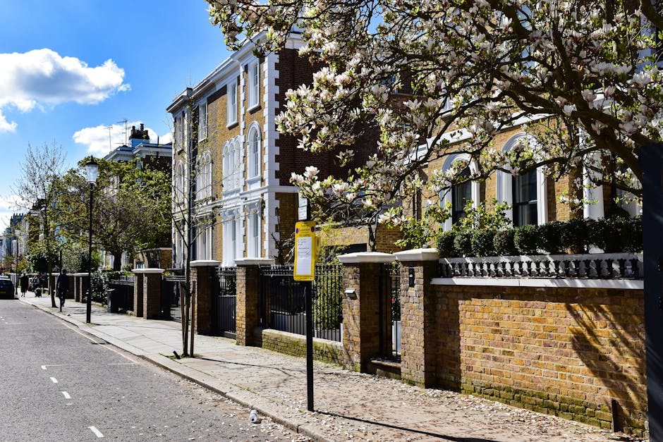 A sunny street scene near Regent's Park in Marylebone showing a row of elegant Victorian-style terraced houses with brick facades and white decorative trims. The houses are surrounded by ornate black iron fences and brick walls, with neatly maintained gardens and greenery visible through the gates. Blossom trees with white flowers are in full bloom along the sidewalk, casting dappled shadows on the paved pedestrian path next to the street. The roadway is clean and smooth, with a blue sky and fluffy clouds overhead, highlighting a well-maintained residential area. The scene captures an idyllic, serene neighbourhood that benefits from professional cleaning and maintenance, as exemplified by Marylebone Carpet Cleaning's expertise in surface cleaning and hygiene for homes near Regent's Park.