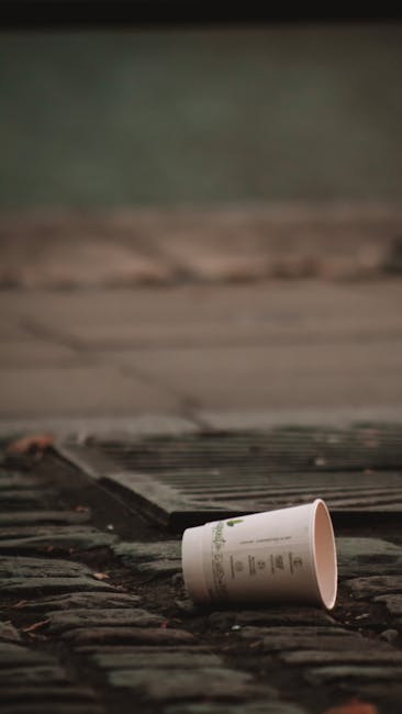 A disposable paper cup lying on a wet, cobblestone surface next to a wooden step or threshold, partially illuminated by natural light, with a slightly damp and muddy appearance on the ground. The background shows a textured wall or floor surface with moss or dirt, indicating an outdoor or semi-outdoor environment. The scene reflects the importance of proper waste disposal in accordance with Westminster Council rules, highlighting the need for effective surface cleaning and maintenance, as performed by Marylebone Carpet Cleaning for hygienic and environmental standards.